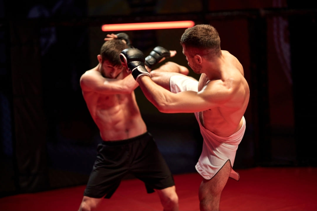 MMA Mixed Martials Arts