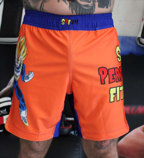 Shorts Dragon Ball